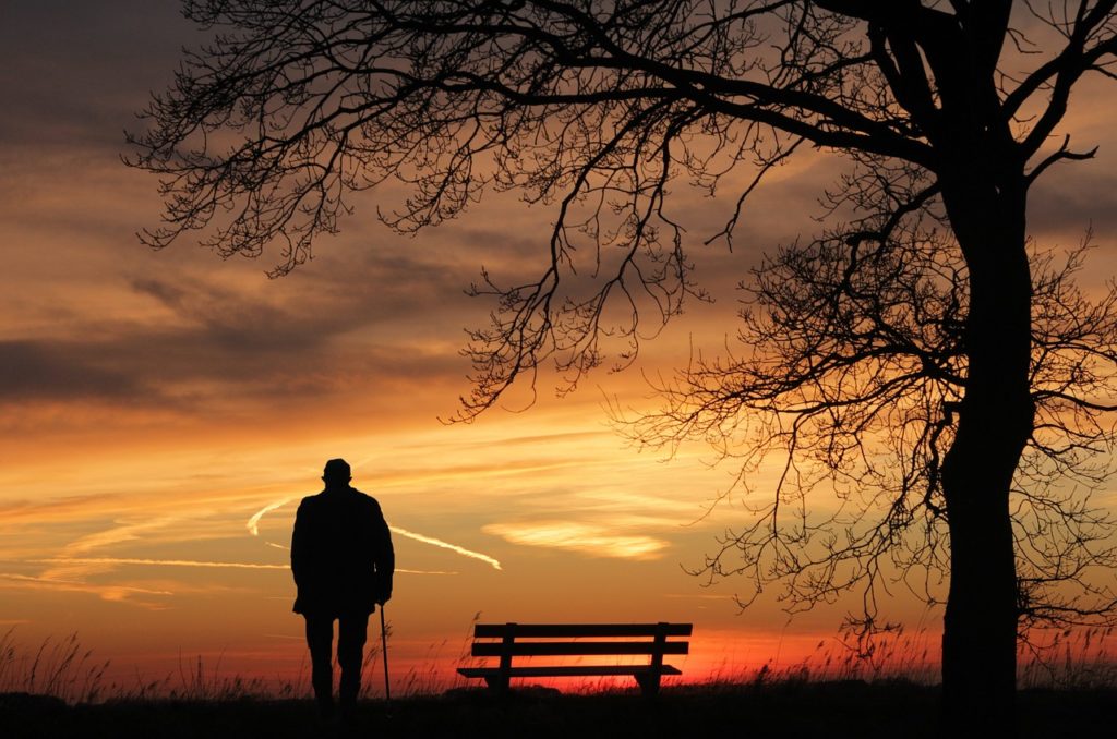 sunset, tree, silhouette